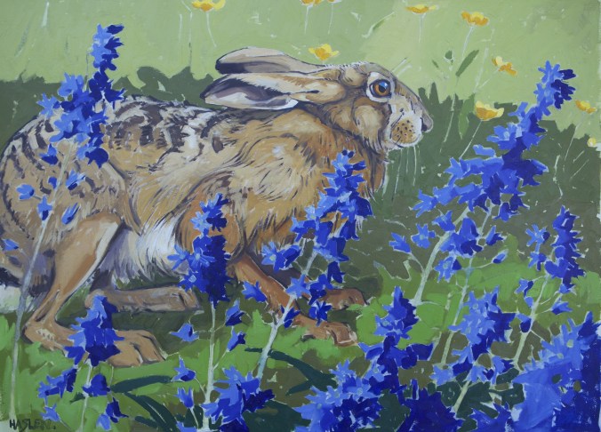 Hare and Bluebells